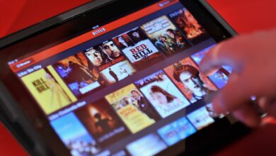 Netflix's 'What We Watched' Report Viewer Trends Unveiled