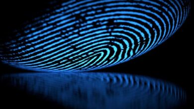 AI Fingerprints Unique
