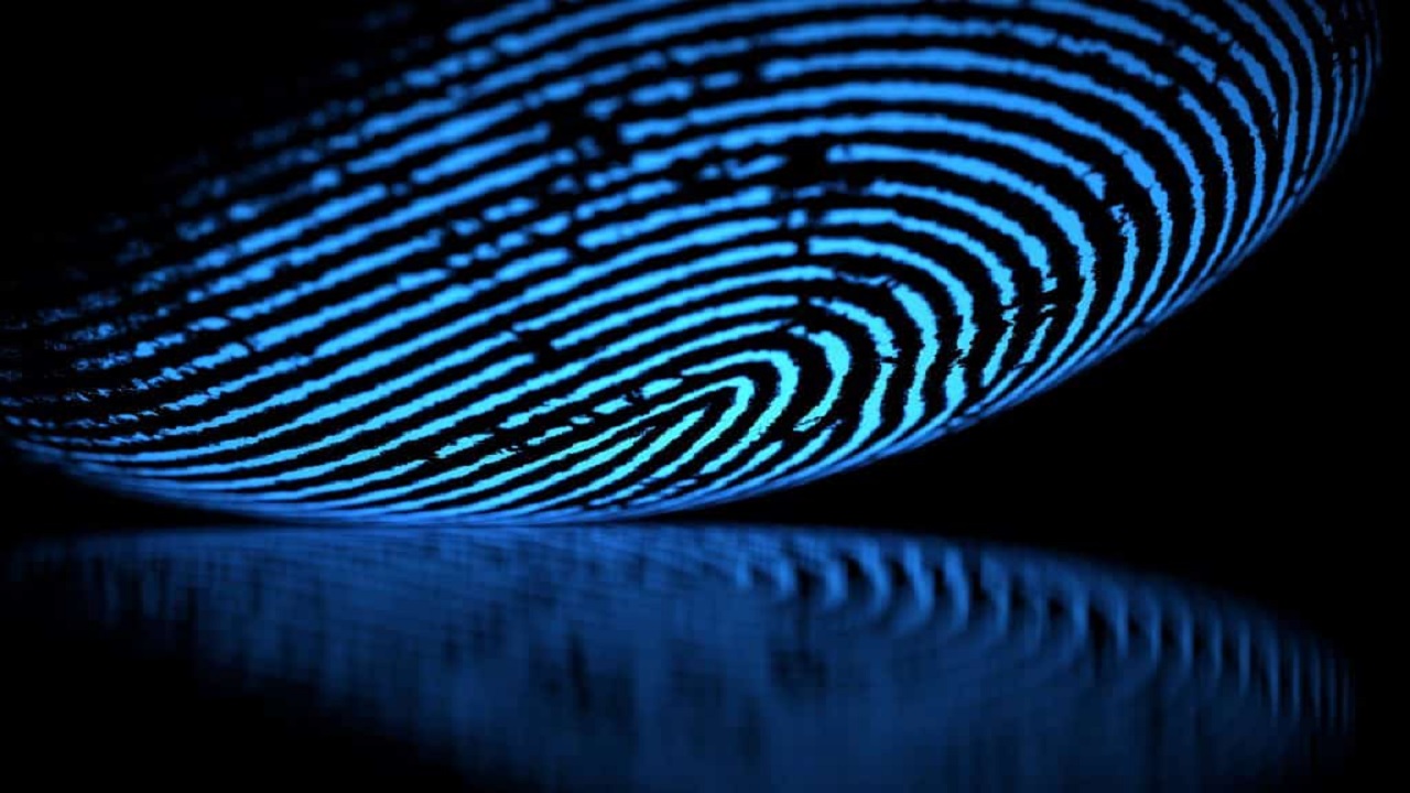 AI Fingerprints Unique