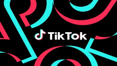 TikTok Search Engine