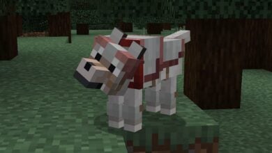 Minecraft new wolves