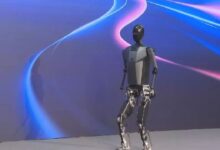China Humanoid Robot