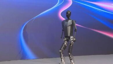 China Humanoid Robot