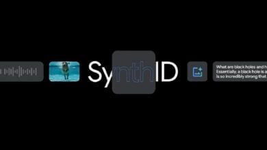 Google SyanthID Detector