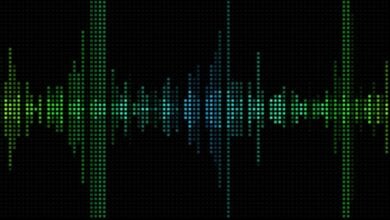 Leaked Call Controversy PML-N MPA Allegedly Abuses BISP Director in Viral Audio