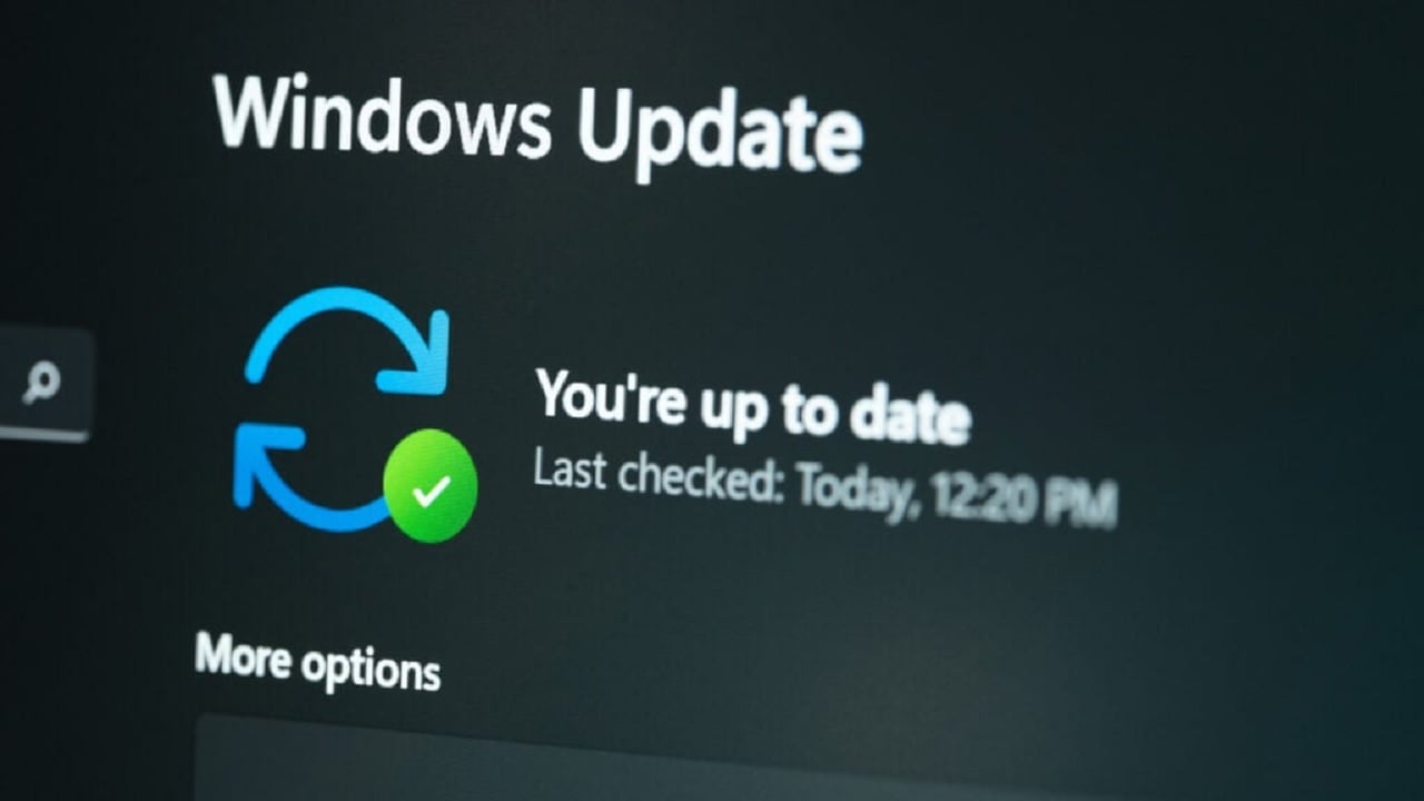 Microsoft Windows Update Mistake