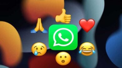 WhatsApp Emoji Reactions for Calls